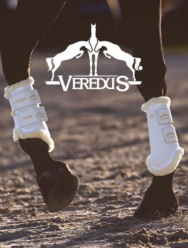 Veredus