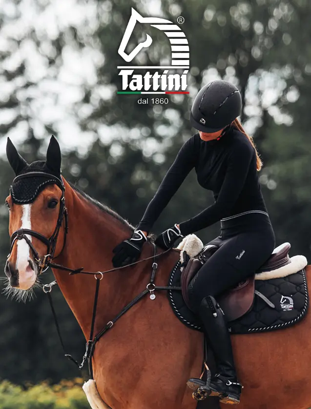 Tattini